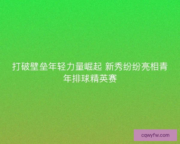 打破壁垒年轻力量崛起 新秀纷纷亮相青年排球精英赛